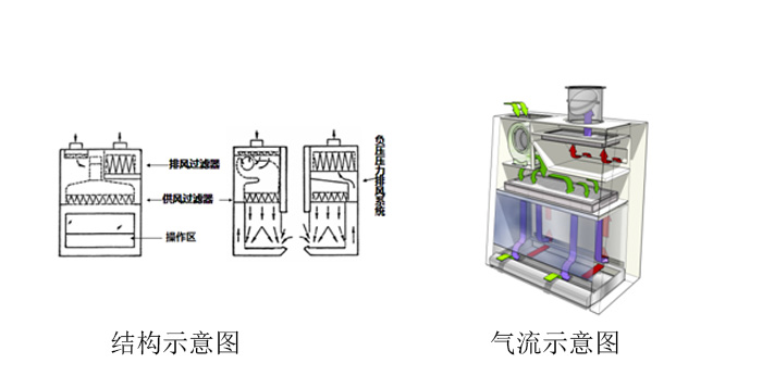 生物安全柜工作原理4