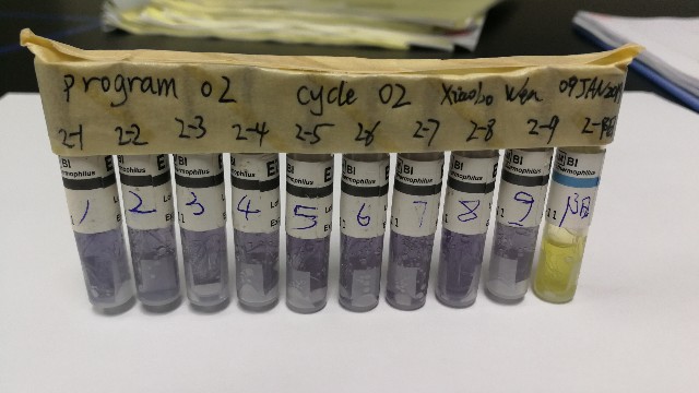滅菌器驗證中生物指示劑選擇要求